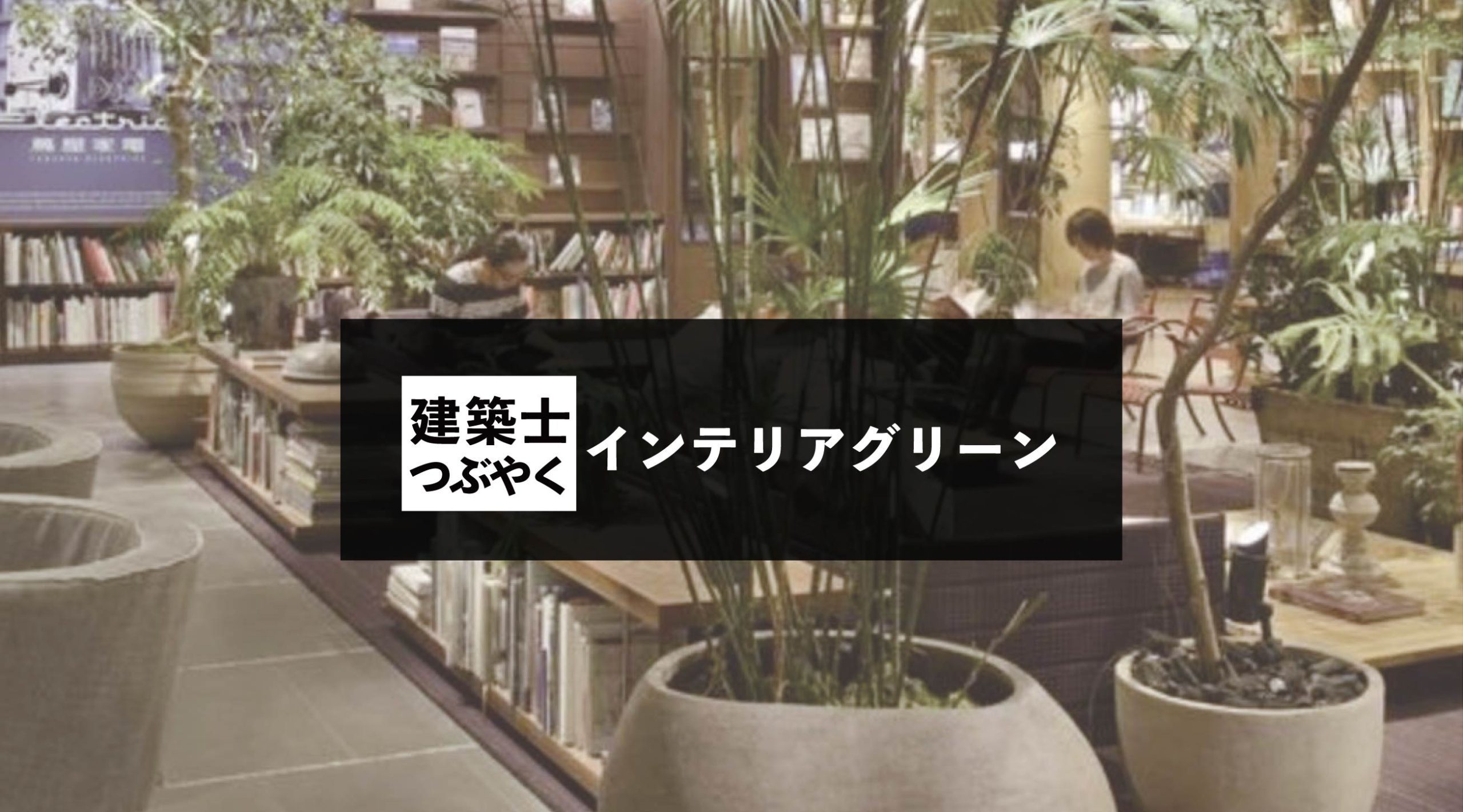 建築士つぶやく インテリアグリーン
