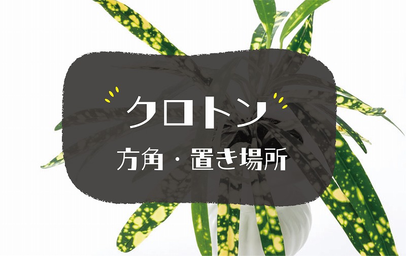 クロトンの風水効果