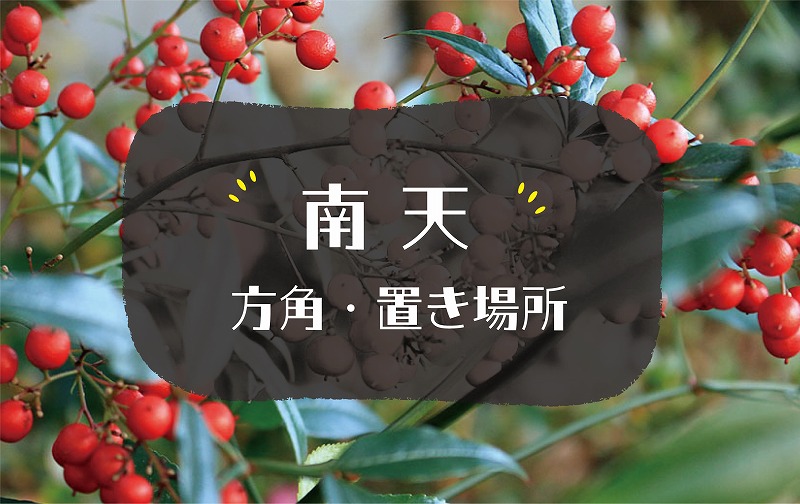 南天の風水効果