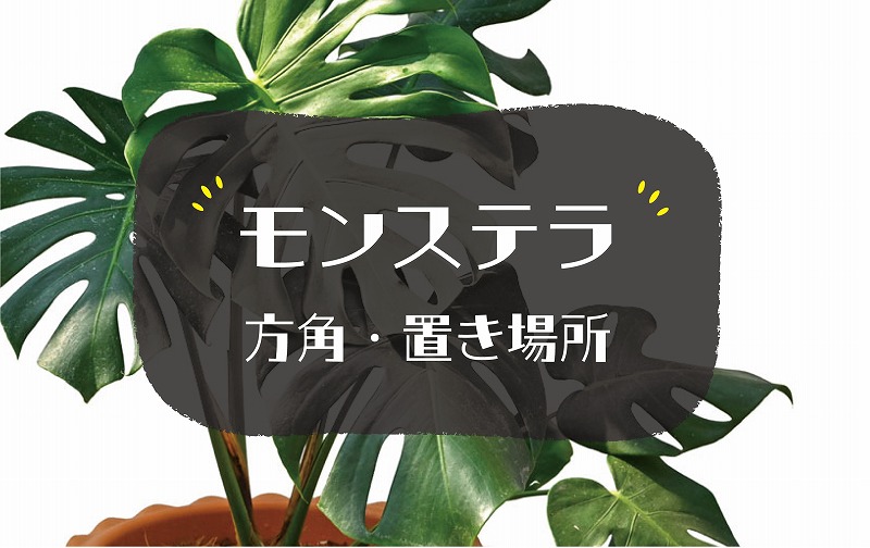 モンステラの風水効果