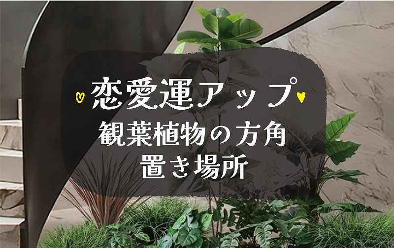 恋愛運アップの観葉植物