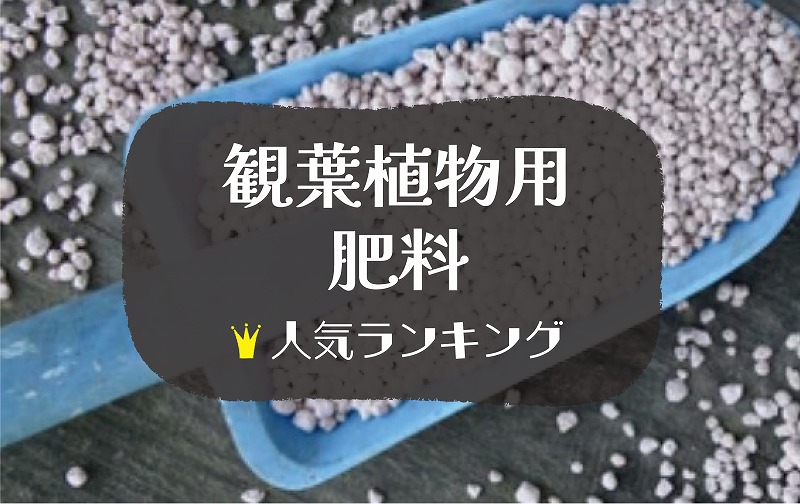 観葉植物用おすすめの肥料