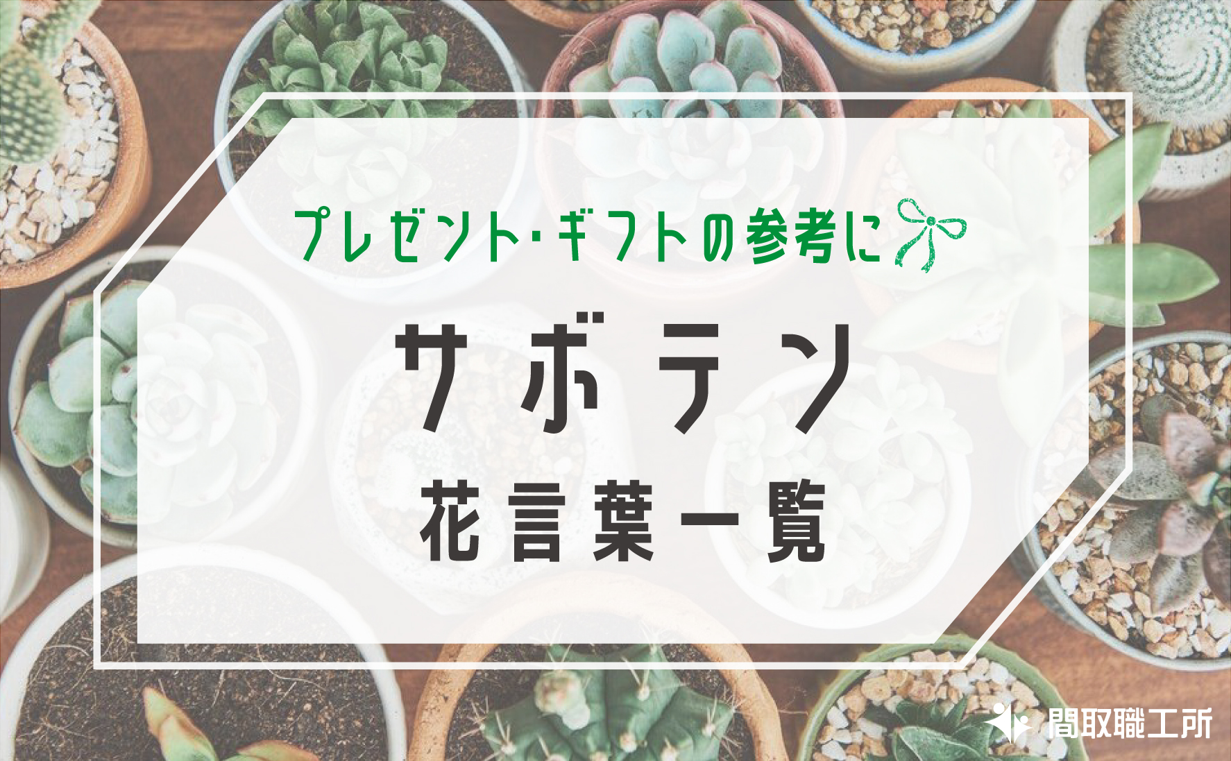 サボテンの花言葉 57種類 一覧 プレゼント ギフト